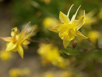 PS伦敦工作室招聘大量员工 开发PS5在线游戏